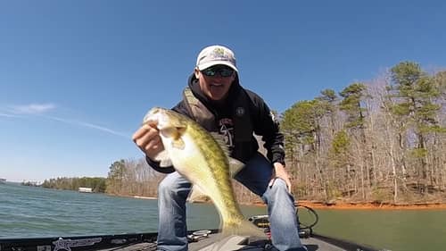 Lake Lanier Spotted Bass Fishing with a Z-Man Chatterbait
