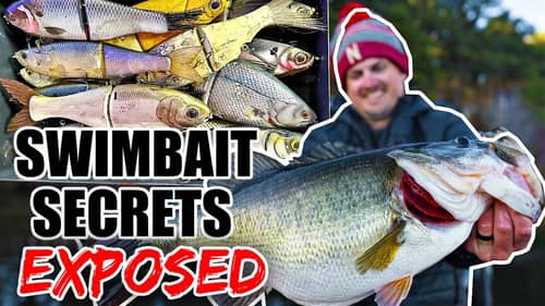 The Swimbait Fishing Secrets I NEVER should have shared....