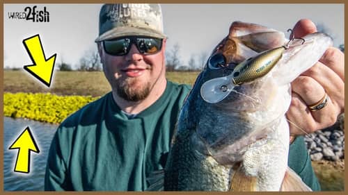 Cranking Riprap for Cold Water Bass | Fall, Winter, and Spring Tips