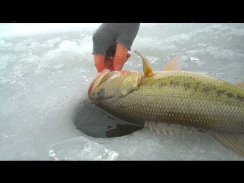 Fishing Under The Ice