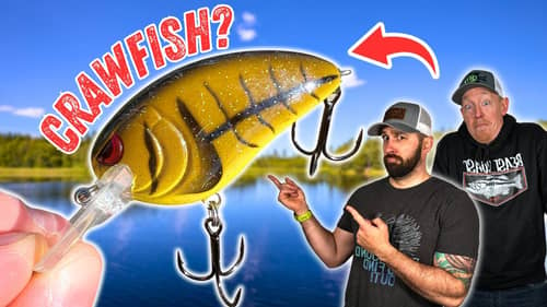 Do THESE Lures Really Catch You MORE FISH In The Spring?