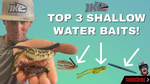 Top 3 Shallow Water Baits!