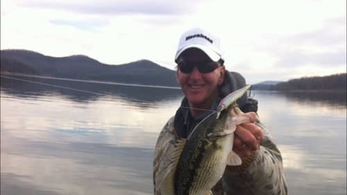 What Has Happened To All The Big Bass In Table Rock Lake?