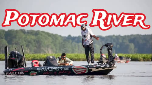 I CAN WIN THIS - Potomac River Major League Fishing Toyota Series -