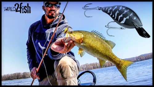 4 Tips to Find and Catch River Bass on Crankbaits (Spring)