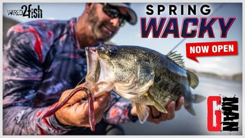 Swindle's Weedless Wacky Rig and Colors for Spring Bass