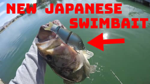 This Little Japanese Swimbait Might Be My New Favorite Pond Swimbait!