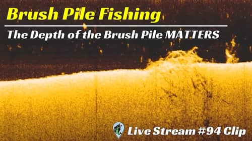 Depth Of The Brushpile Matters | FTM Livestream #94
