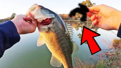 Best Lure for PONDS In the WINTER! Fishing Challenge!
