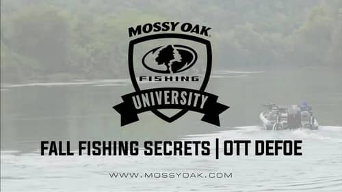 Fall Fishing Secrets   Ott DeFoe Fishing Tips