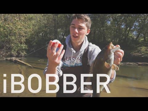 Finding Creek Spotted and Smallmouth Bass -- ft. iBobber