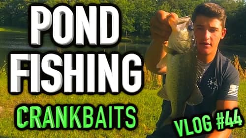 Pond Fishing Crankbaits ~ Vlog #44