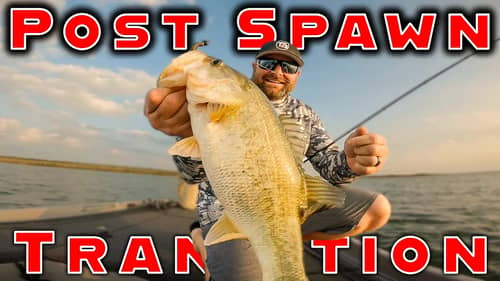 Post Spawn Transition – Shakey Head Worms And Crankbaits!