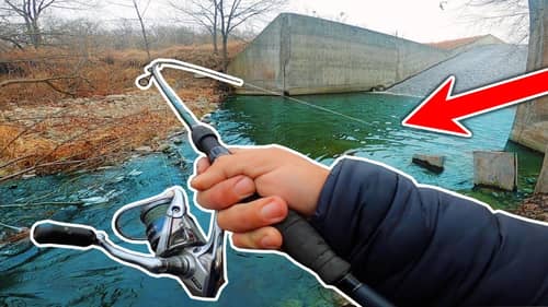 HOOKED UP w/ the Spillway Monster!!! --Where Did these GIANTS Come From?!