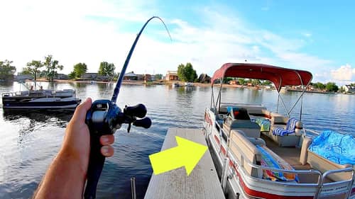 INSANE Dock Flipping from the Bank for BIG SUMMER BASS!!!