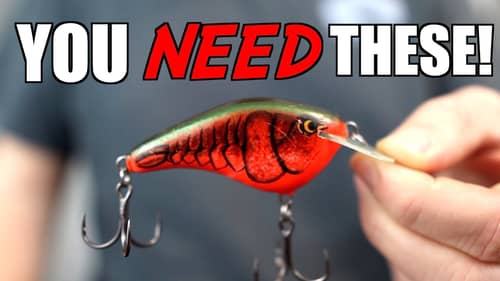 5 Crankbaits you NEED TO HAVE For Prespawn Bass Fishing!