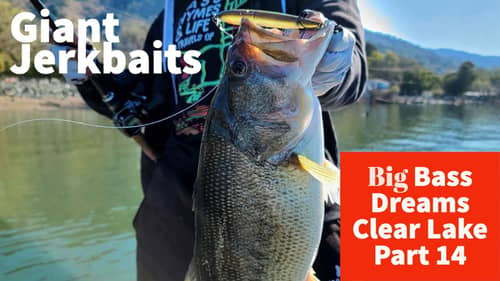 Bigger Jerkbaits Result in Bigger BASS - Big Bass Dreams Clear Lake Part 14
