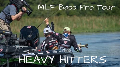 It's good to be BACK! MLF HEAVY HITTERS