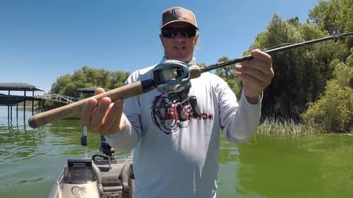 Top Summer Gear Picks: Rods, Reels, Baits, and More!