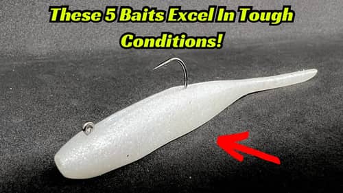 Best Baits To Free Rig For Spring Bass! 