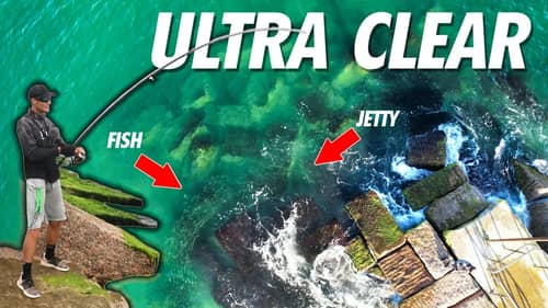 ULTRA CLEAR Jetty Fishing vs DIRTY Water -TESTED!