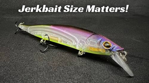 Jerkbait Size Matters! Here’s When And Where I Use Each Size!