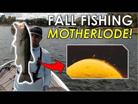 How to Catch Offshore Bass in the Fall | Full Fishing Day Walkthrough