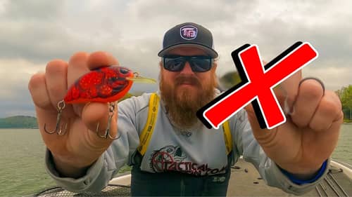 5 Fishing Mistakes We All Make! (And How To Avoid Them)