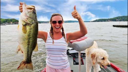 Catching SCHOOLING Fish in the SUMMER on Lake Of The OZARKS! SO MANY FISH!