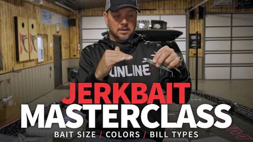 JERKBAIT Masterclass (Sizes, Colors & Bill Types)