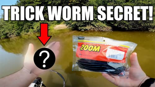 How to Fish this SECRET Zoom Trick Worm Rig to Catch BIG Bass! (Bass Fishing Tips)