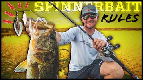Spinnerbait Comeback - When and How to Use (5 Tips)