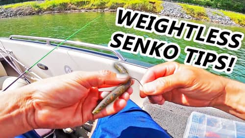 How To Rig and Fish A WEIGHTLESS SENKO For BASS!