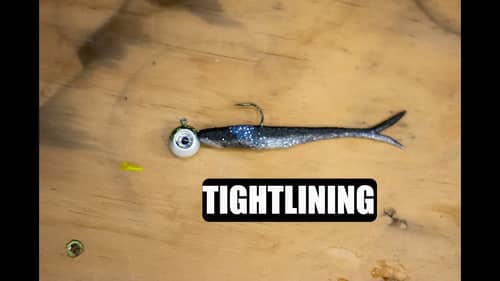 Ike In The Shop : Tight Lining for Bass
