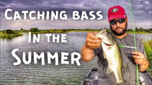 Bass Fishing in the Summer - Only 3 Hours to Fish