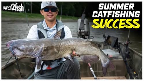 Catch Summer Catfish with These Expert Tips