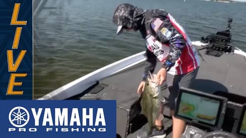 Yamaha Clip of the Day: LeHew's terrific topwater bite on Lake Murray
