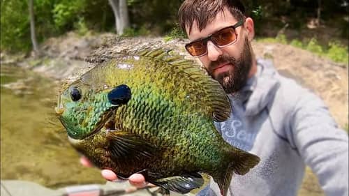 The BIGGEST BLUEGILL in the LAKE!!