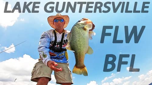 FLW BFL Tournament on LAKE GUNTERSVILLE! (SUMMER BASS FISHING)