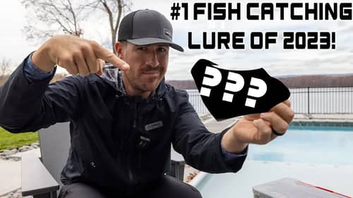 Hottest Fishing Technique in the WORLD Right Now!