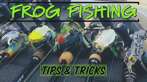 3 New Frog Fishing Tricks To Catch More FIsh!