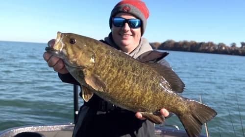 Lake Erie Fall Smallmouth Fishing - Great Lakes Smallmouth Fishing!