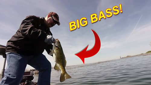 Year-Round Bass Fishing With Hair Jigs | Bass Fishing