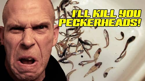 Killing Snakehead, Muskie, Pike "Trash Fish" Peckerheads - Ike Live Fishing Talk Show Ep. 9 Clip