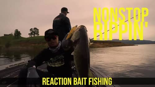 Reaction Bait Fishing for Bass Northern California Part 2