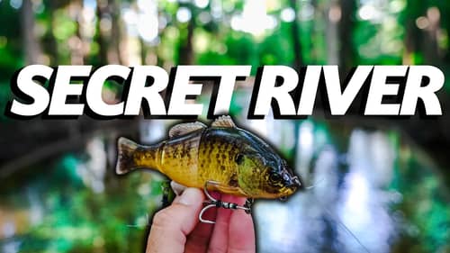 Fishing a Secret Pristine Florida River