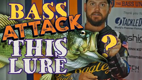 THIS Lure Makes Bass ANGRY! [Bassmaster Drew Benton Sight Fishing Soft Plastic Bait Secret Tips]