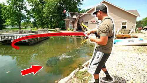 BACKYARD POND is LOADED with Trophy Size Fish!! (NEW PET)