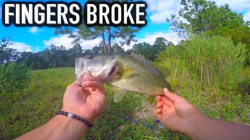 Bass Fishing a NEW Pond !