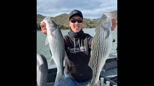 January Stripers after a big storm!